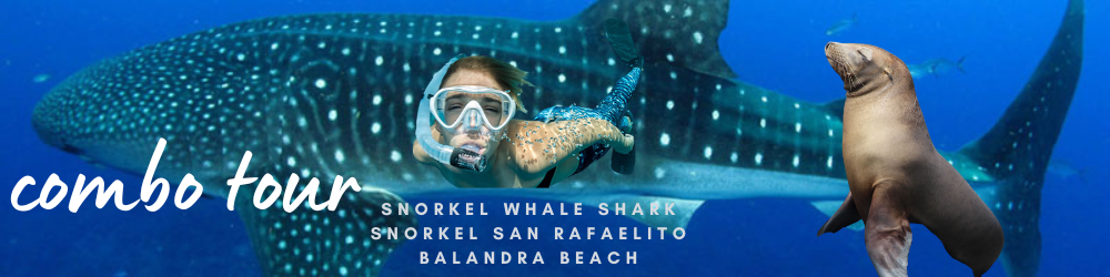 Snorkel Tiburón Ballena & Snorkel San Rafaelito & Playa Balandra